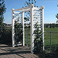 vinyl arbor
