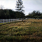 vinyl ranch fence