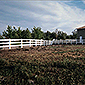 vinyl ranch fence